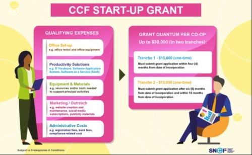New Co-ops to Receive Boost with Launch of CCF Start-Up Grant